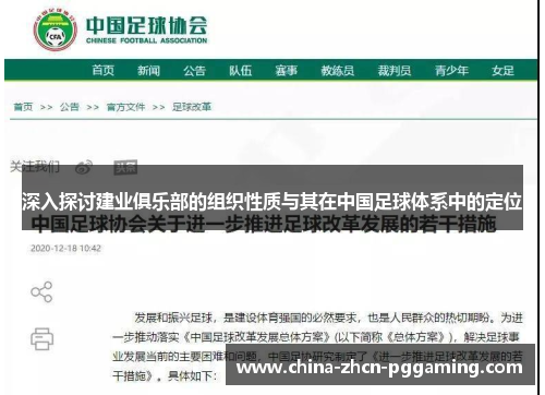 深入探讨建业俱乐部的组织性质与其在中国足球体系中的定位