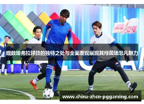 细数埃弗拉球技的独特之处与全面表现展现其绿茵场非凡魅力