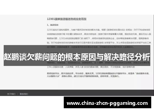 赵鹏谈欠薪问题的根本原因与解决路径分析 赵鹏谈欠薪问题的根本原因与解决路径分析