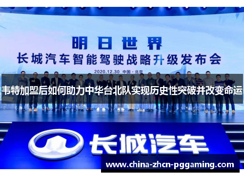 韦特加盟后如何助力中华台北队实现历史性突破并改变命运