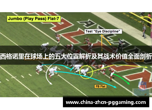 西格诺里在球场上的五大位置解析及其战术价值全面剖析 西格诺里在球场上的五大位置解析及其战术价值全面剖析